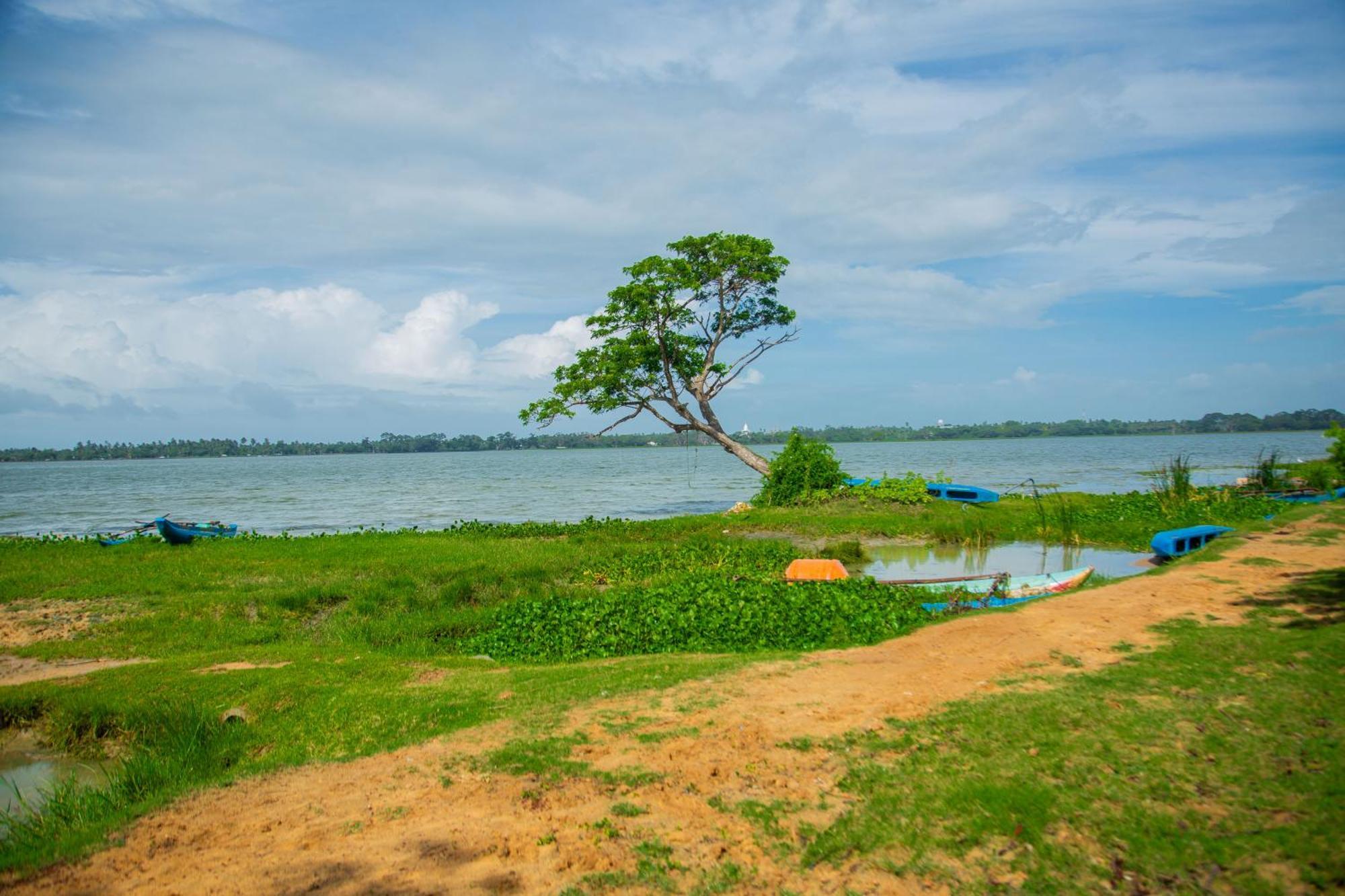 Lake Scape Yala Safari Inn Tissamaharama Exterior foto