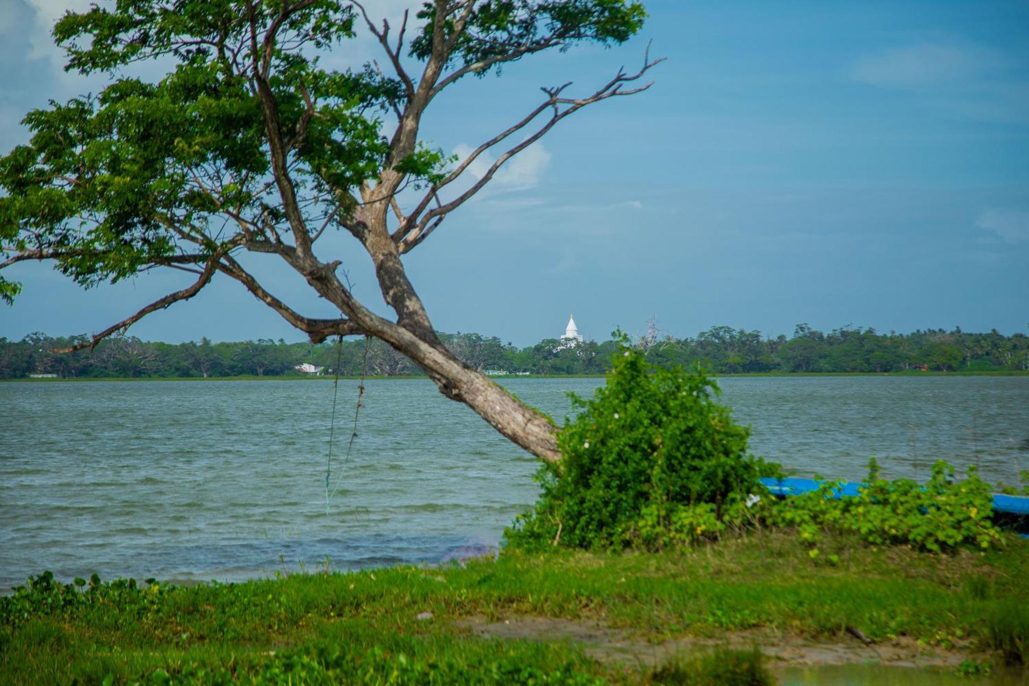 Lake Scape Yala Safari Inn Tissamaharama Exterior foto