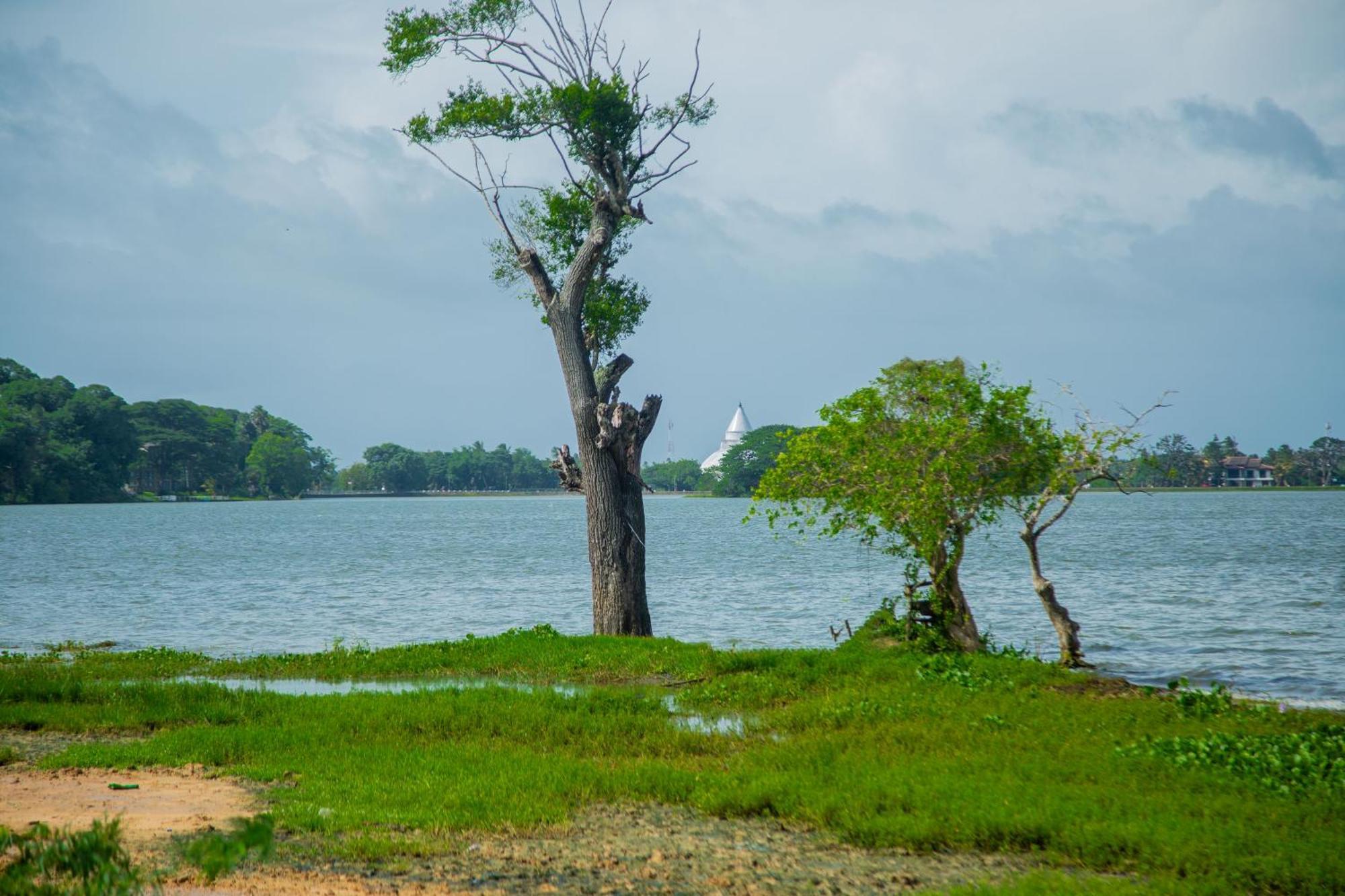 Lake Scape Yala Safari Inn Tissamaharama Exterior foto